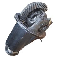 کله گاوی وینگل